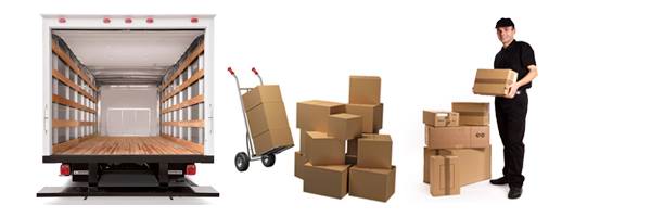 Cargo Services